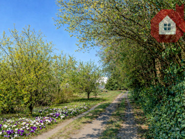 Działka budowlana Konstancin-Jeziorna