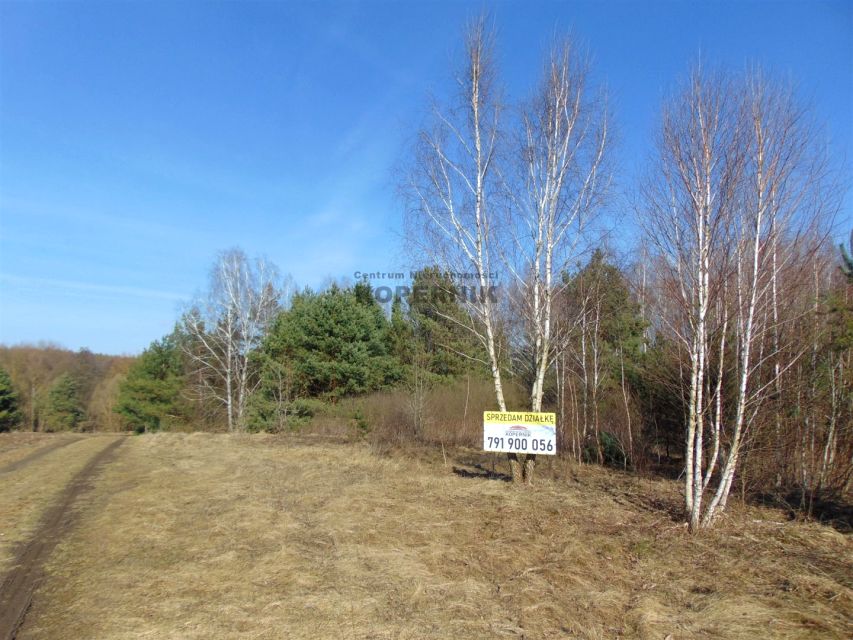Działka budowlana Ciechocin sprzedam
