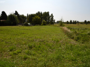 Działka budowlana Dobieszowice