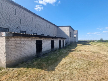 Budynek użytkowy Radzanowo