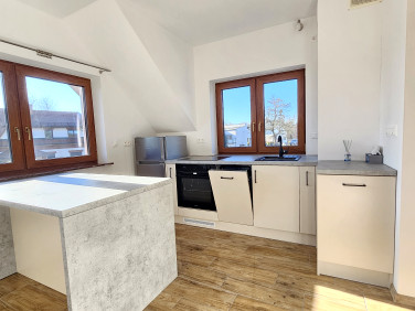 Mieszkanie dom wielorodzinny wynajem