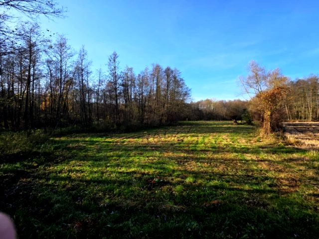 Działka rolna Stara Korzeniówka