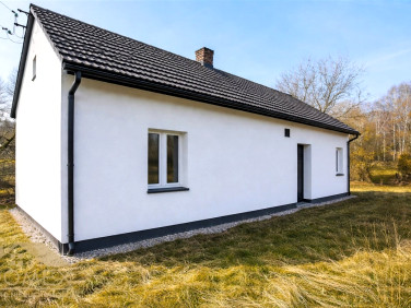 Dom Wodzisław Śląski