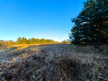 Działka budowlana Kozowo