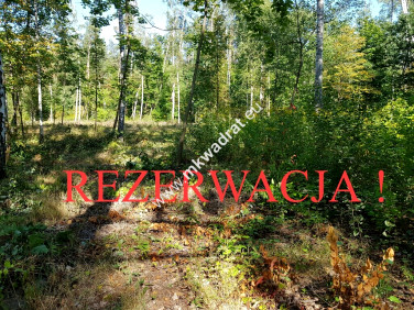 Działka budowlana Żółwin