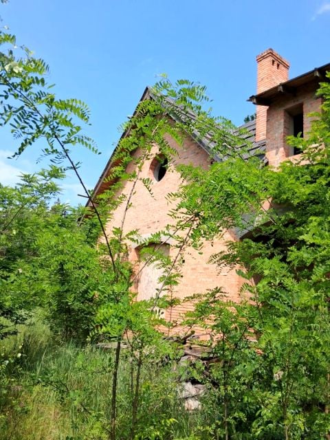 Zdjęcie 2