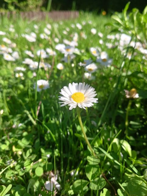 Działka rekreacyjna Częstochowa