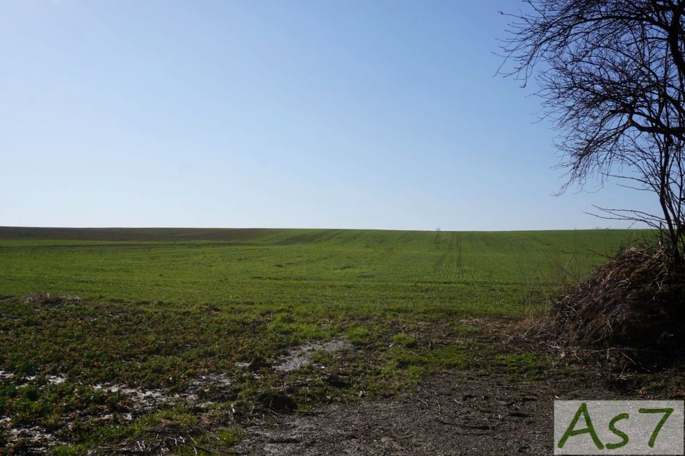 Działka budowlana Kobylany