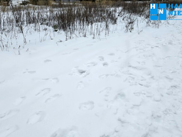 Działka budowlana Kanie