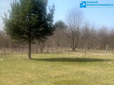 Działka budowlana Kajetany