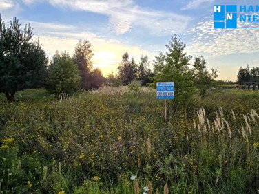 Działka budowlana Wyględy