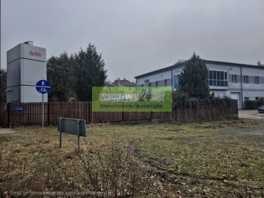 Budynek użytkowy Zielonka wynajem