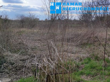 Działka budowlana Święcice