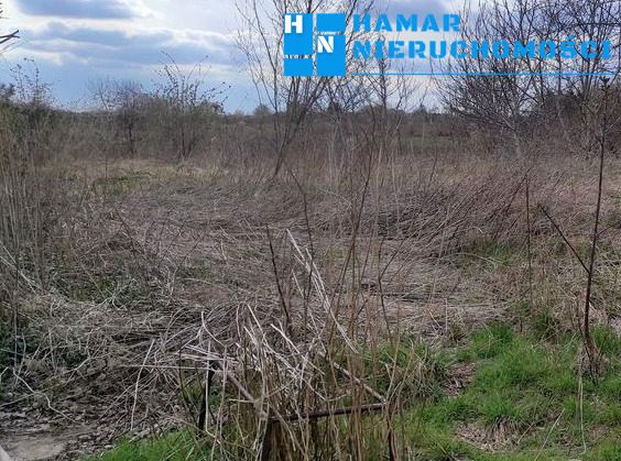 Działka budowlana Święcice