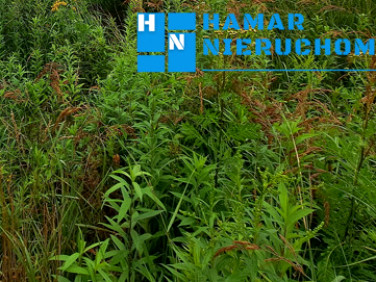 Działka budowlana Jaworowa