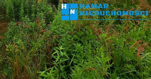 Działka budowlana Jaworowa