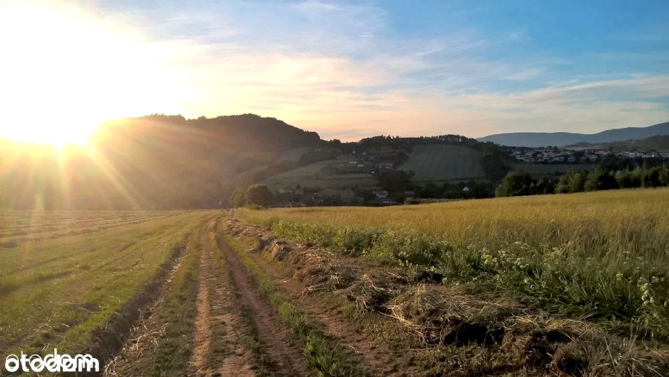 Działka budowlana Nowa Ruda