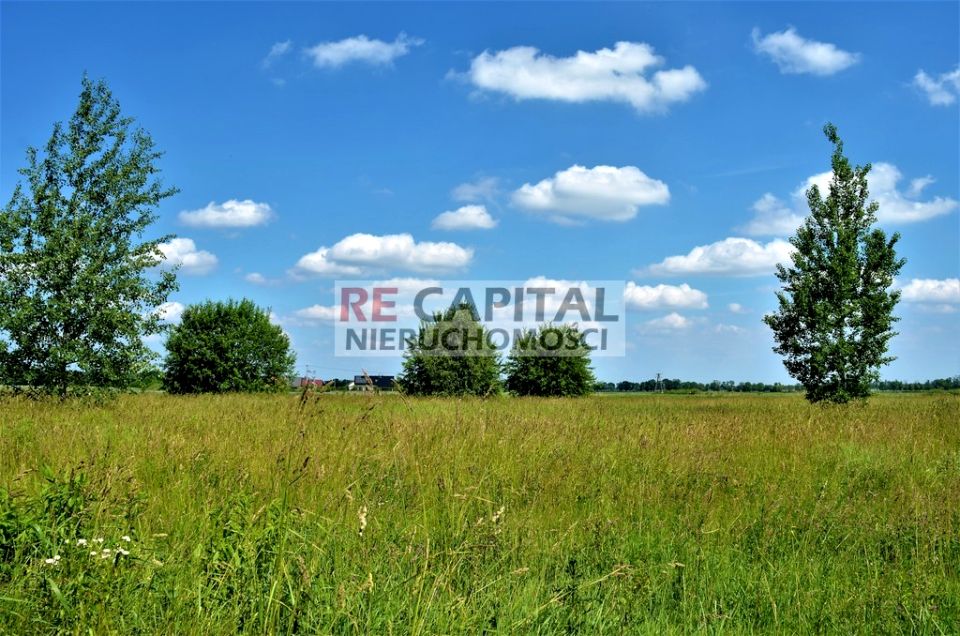 Działka budowlana Zaborówek sprzedam