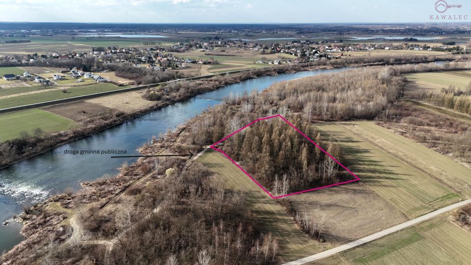 Działka leśna Zgłobice