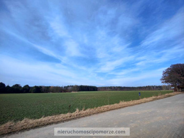 Działka budowlana Dąbki