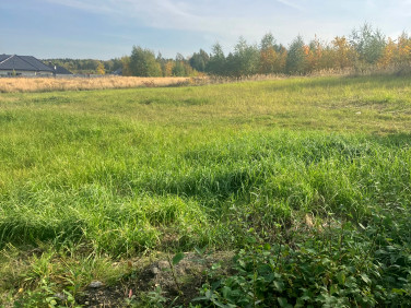 Działka budowlana Szczecin