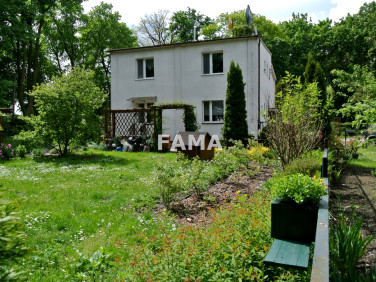 Mieszkanie Szpetal Górny