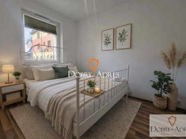 Mieszkanie blok mieszkalny wynajem