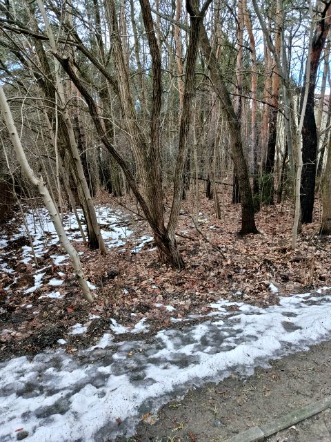 Działka leśna Legionowo