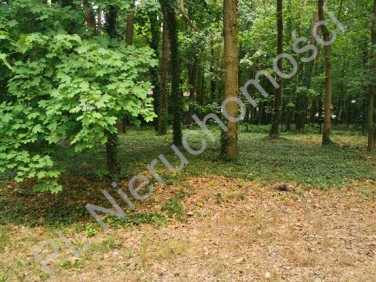 Działka Podkowa Leśna