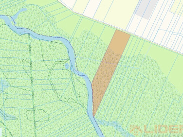 Działka Końcowizna