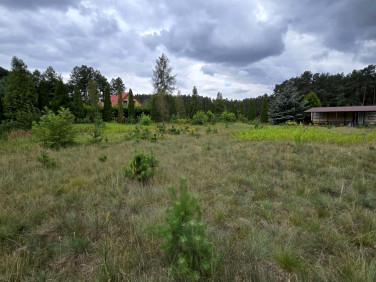 Działka rekreacyjna Cieksyn