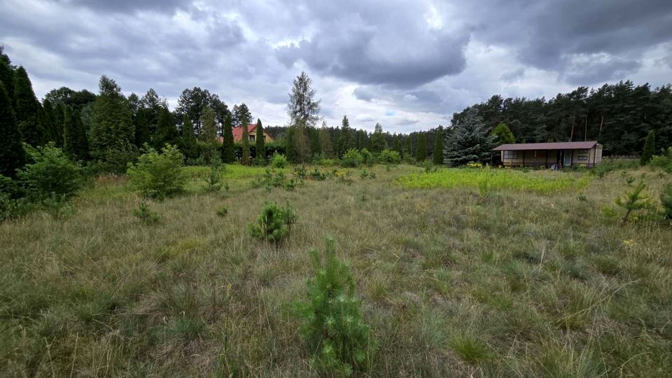 Działka rekreacyjna Cieksyn