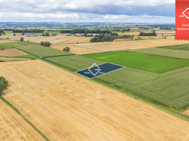 Działka siedliskowa Grabiny-Zameczek
