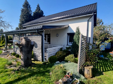 Działka rekreacyjna Grzybiany