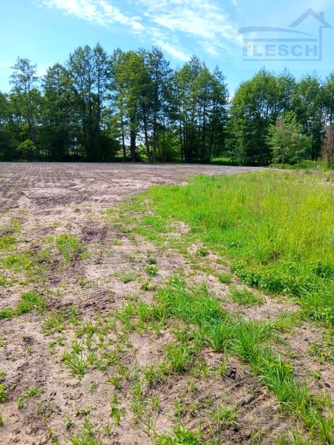 Działka budowlana Rusiec