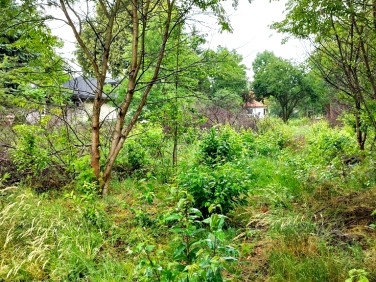 Działka budowlana Stara Wieś