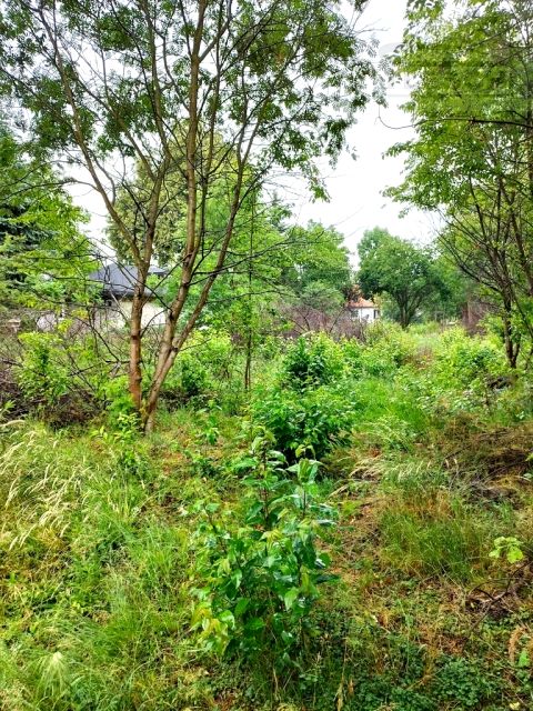 Działka budowlana Stara Wieś