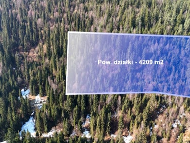 Działka leśna Ostrowsko