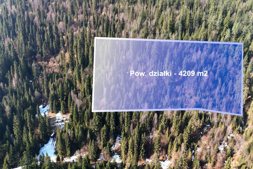 Działka leśna Ostrowsko