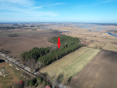 Działka rolna Suraż