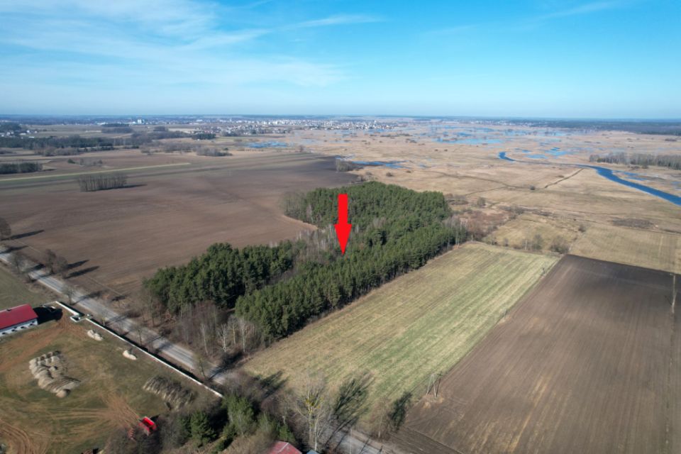 Działka rolna Suraż