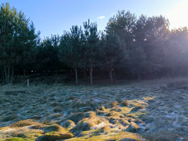 Działka budowlana Iwno sprzedam