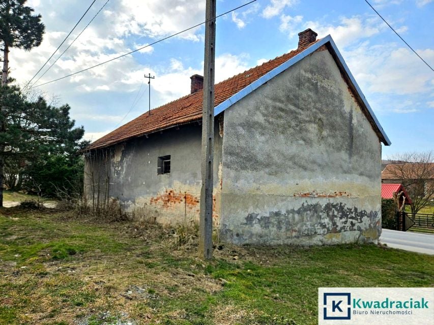 Zdjęcie 3