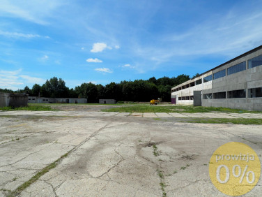 Działka przemysłowa Zebrzydowa wynajmę