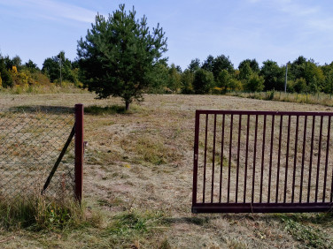 Ogrodzona działka Żołędowo