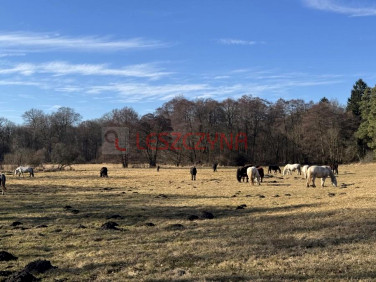 Działka rekreacyjna Tanowo