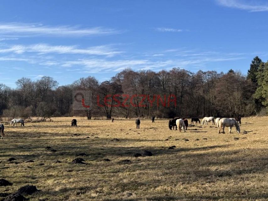 Działka rekreacyjna Tanowo