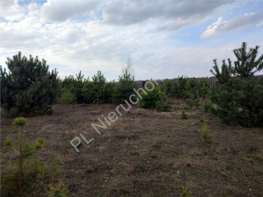 Działka budowlana sprzedam