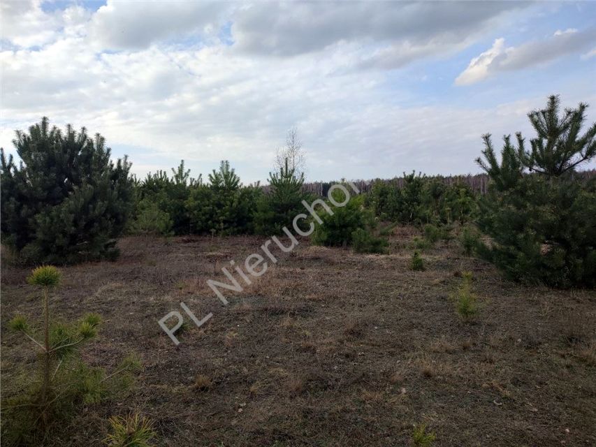 Działka budowlana sprzedam