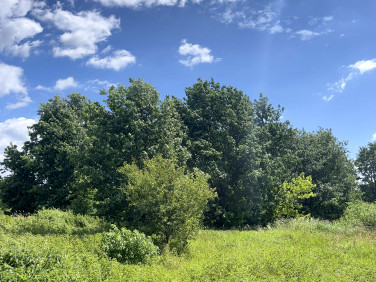 Działka budowlana Jaktorów sprzedam